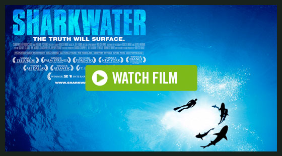 Watch Sharkwater